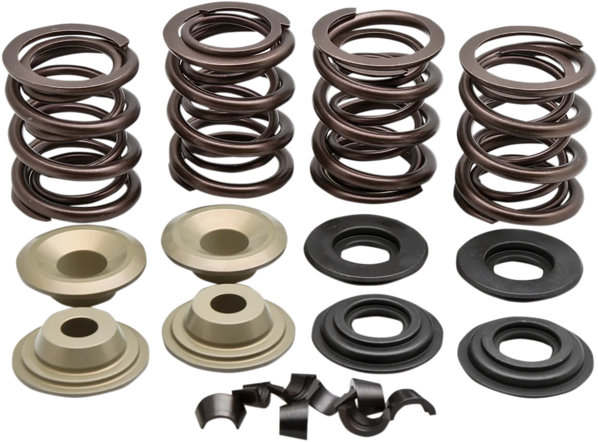 Racing Valve Spring Kit