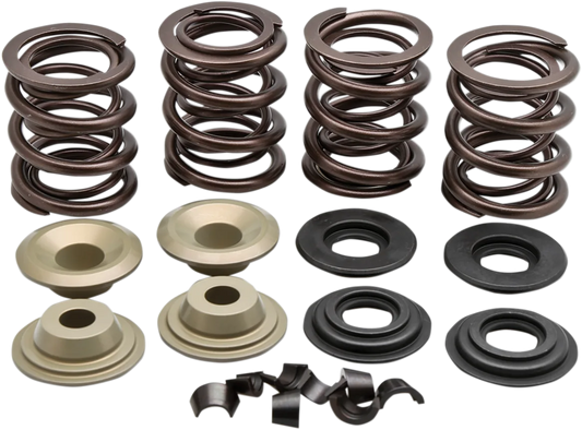 Racing Valve Spring Kit