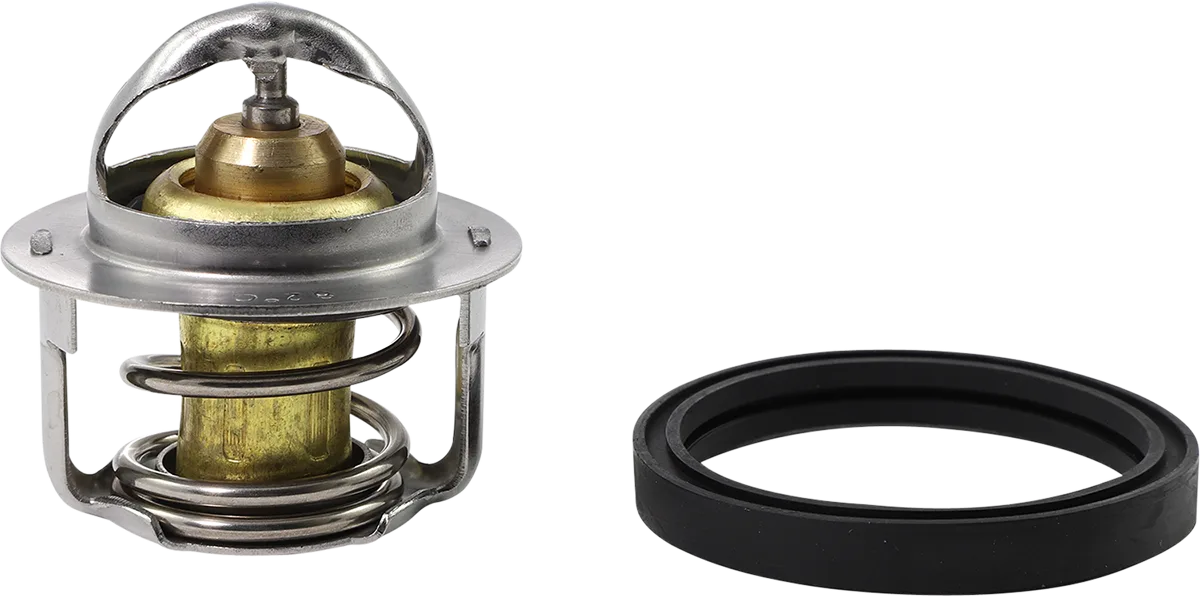 Replacement Thermostat - Polaris