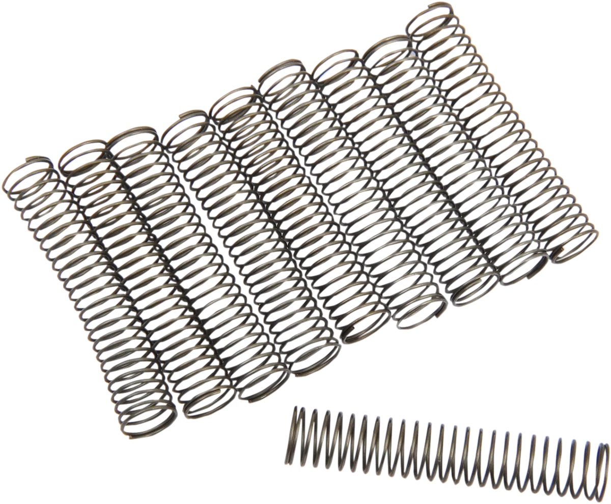 Oil Pump Check Valve Springs