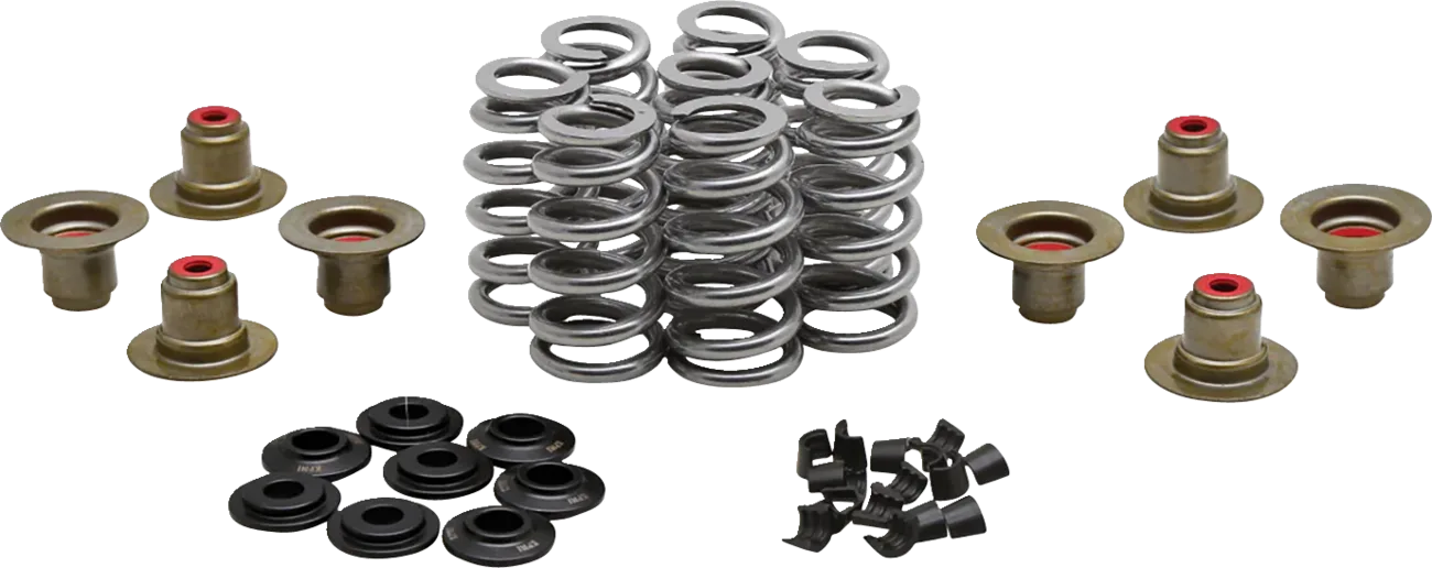 Beehive Valve™ Spring Kit