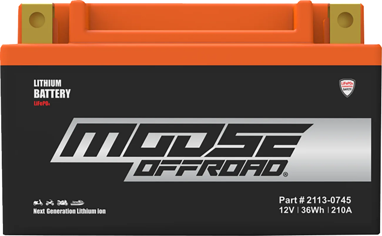 Lithium LiFePO4 Battery