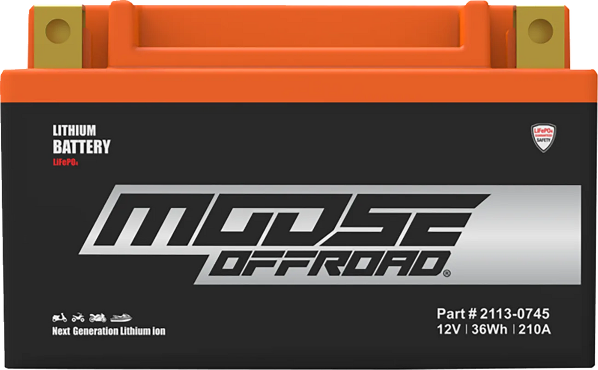 Lithium LiFePO4 Battery