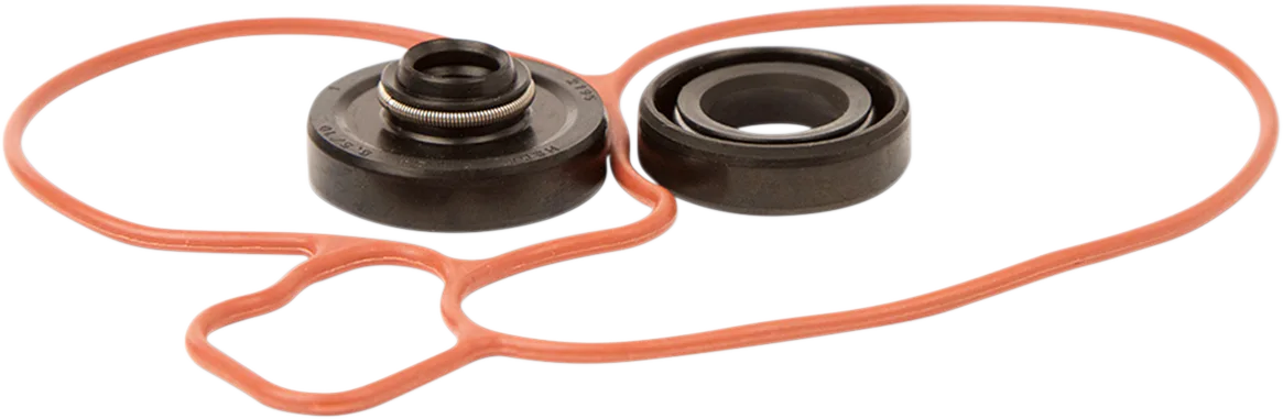 Water Pump Repair Kit