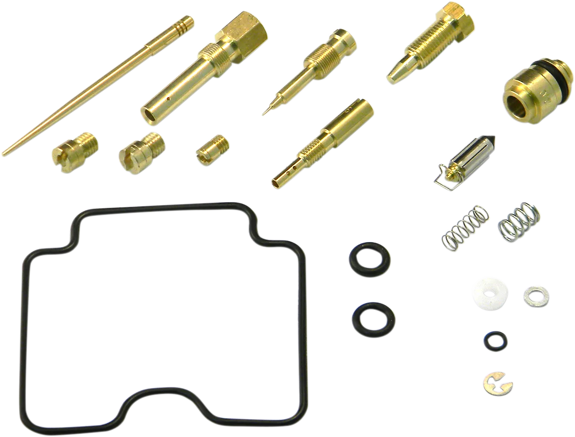 Carburetor Repair Kit