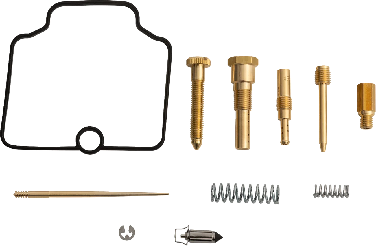Carburetor Repair Kit