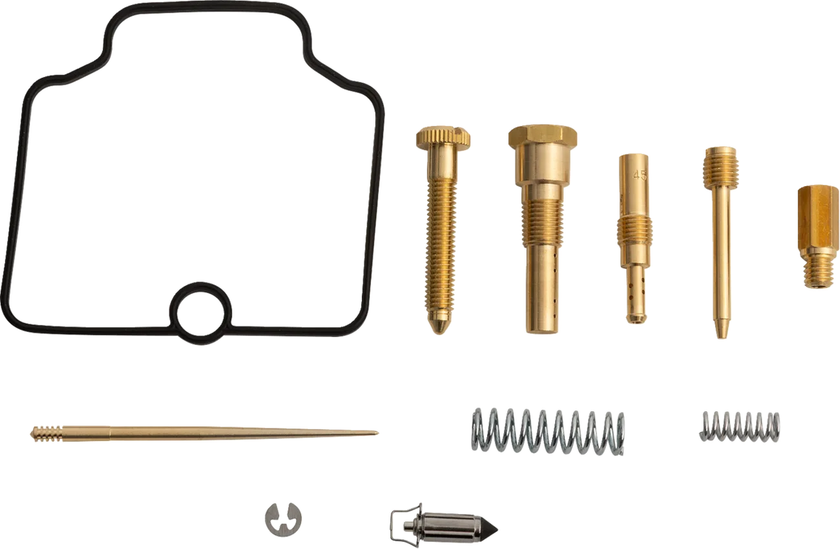 Carburetor Repair Kit