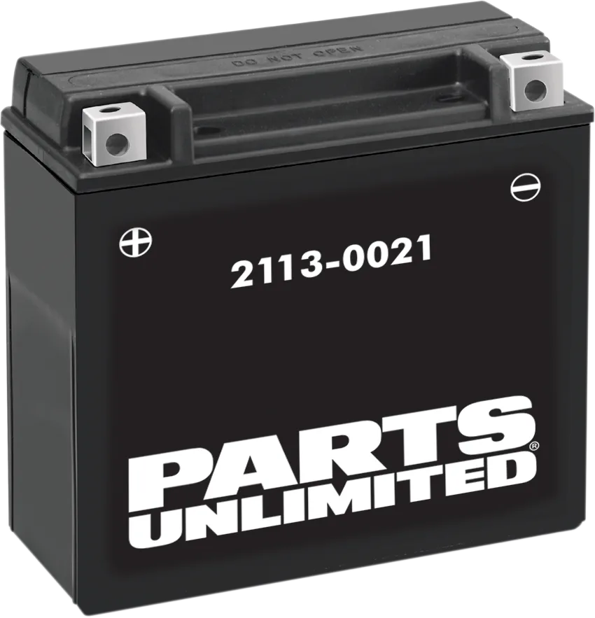 AGM Maintenance-Free Battery