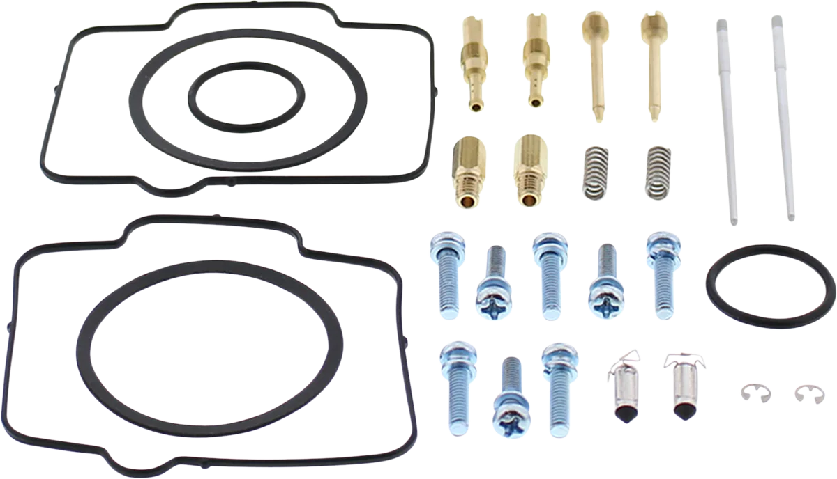 Carburetor Repair Kit