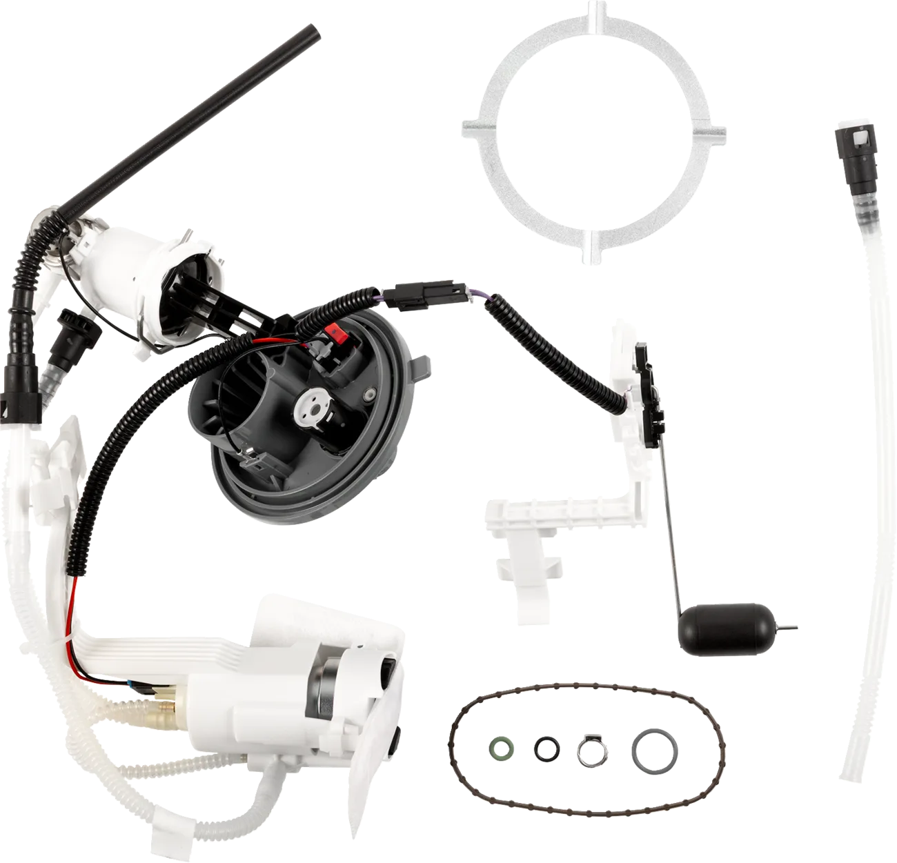 Fuel Pump Module Assembly