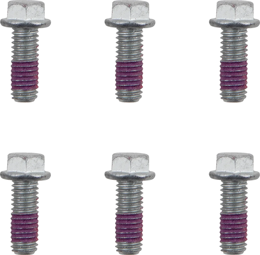 Brake Rotor Bolts