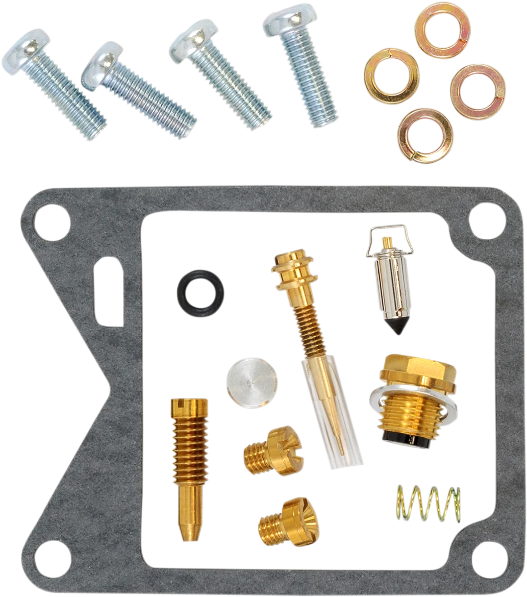 Carburetor Repair Kit