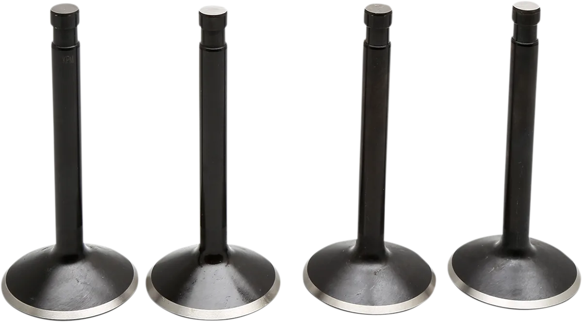 Black Diamond™ Engine Valve Kit