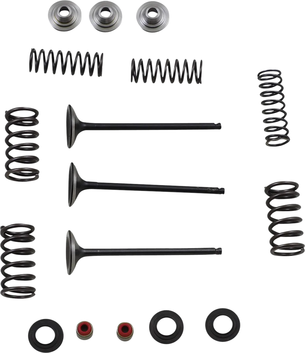 Intake Valve and Spring Kit