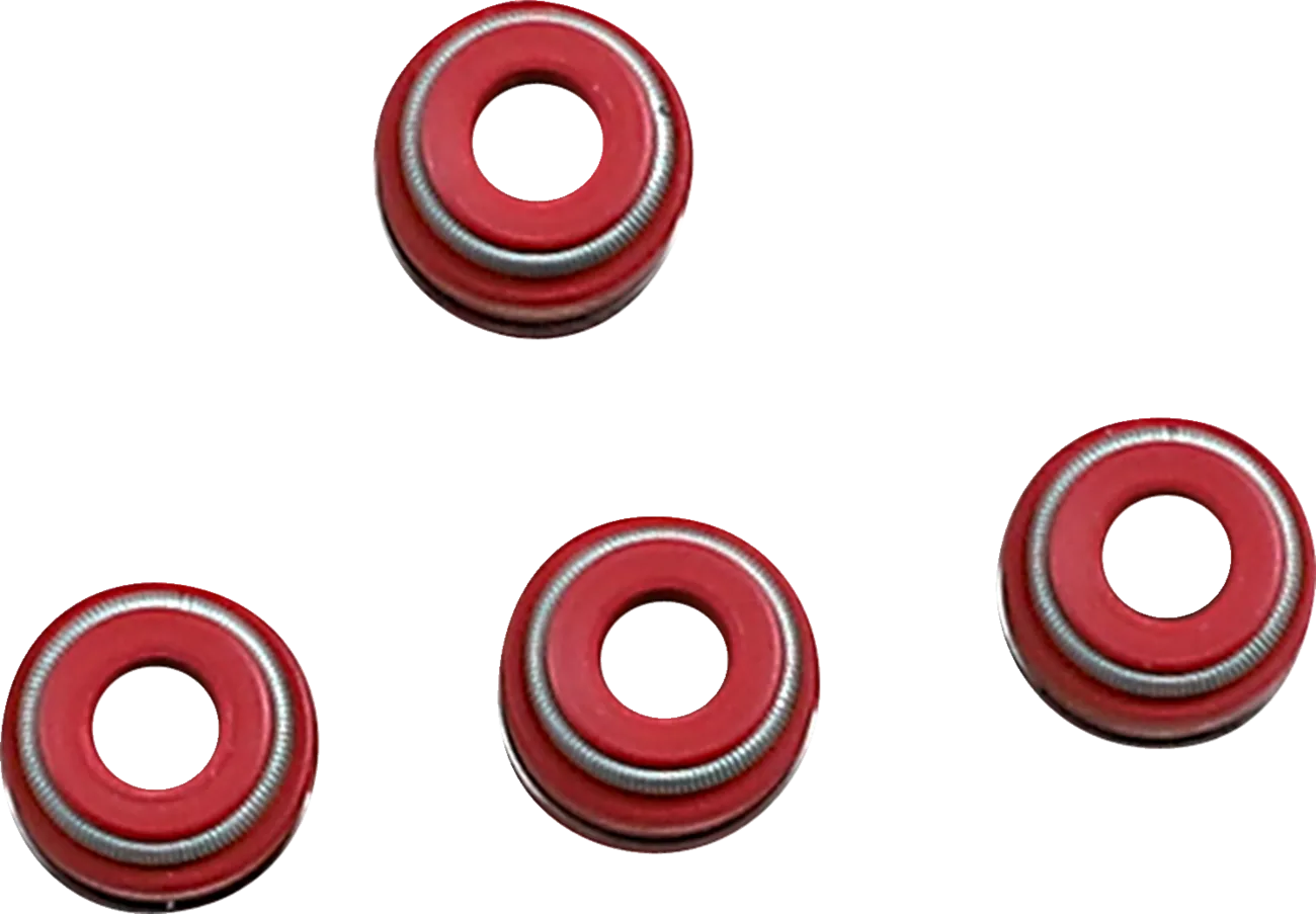 Valve Guide Seals