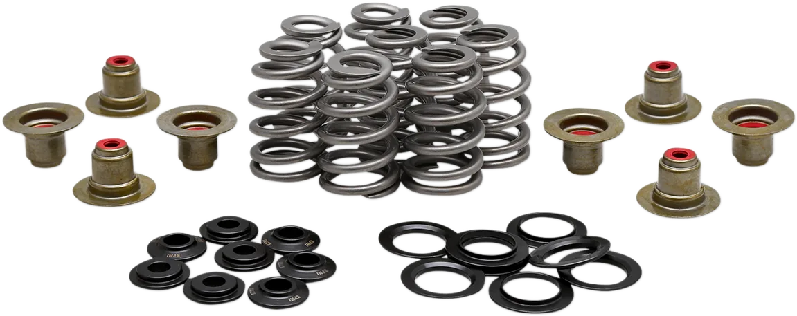 Beehive Valve™ Spring Kit