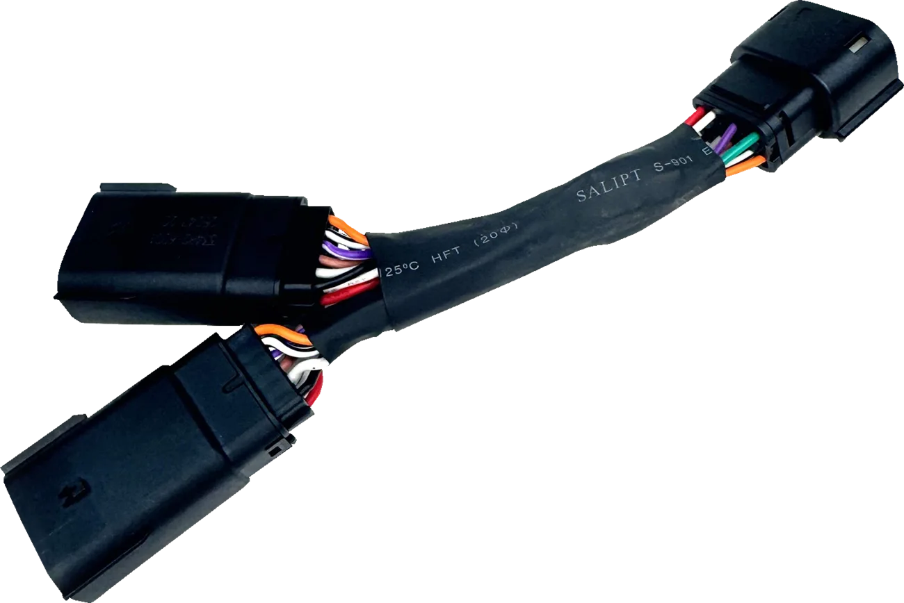 Dual Accessory Cable