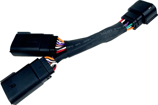 Dual Accessory Cable