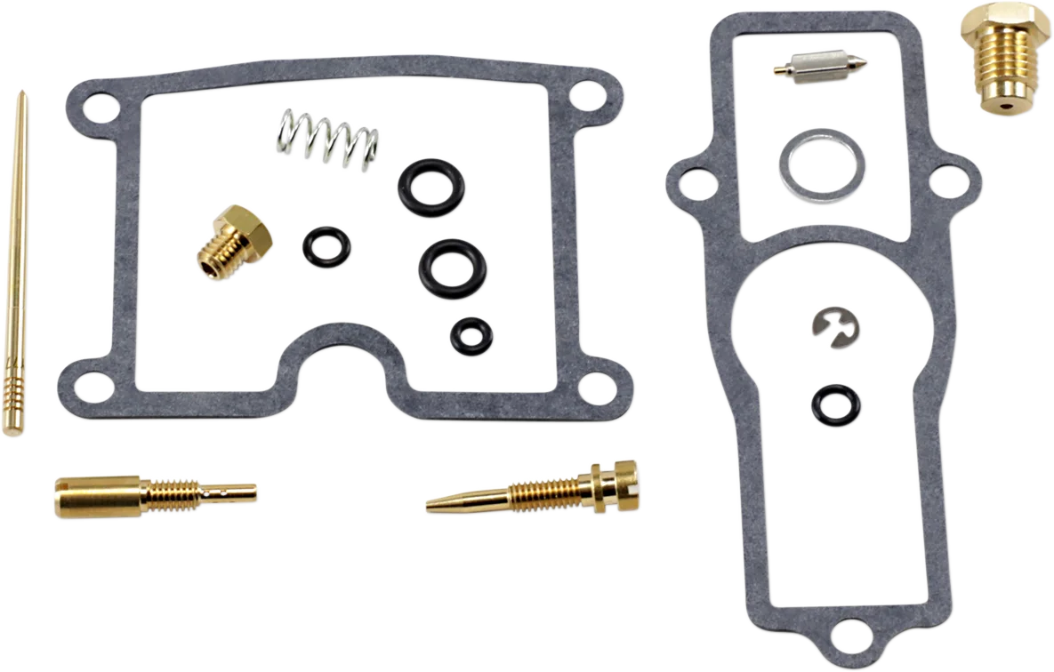 Carburetor Repair Kit