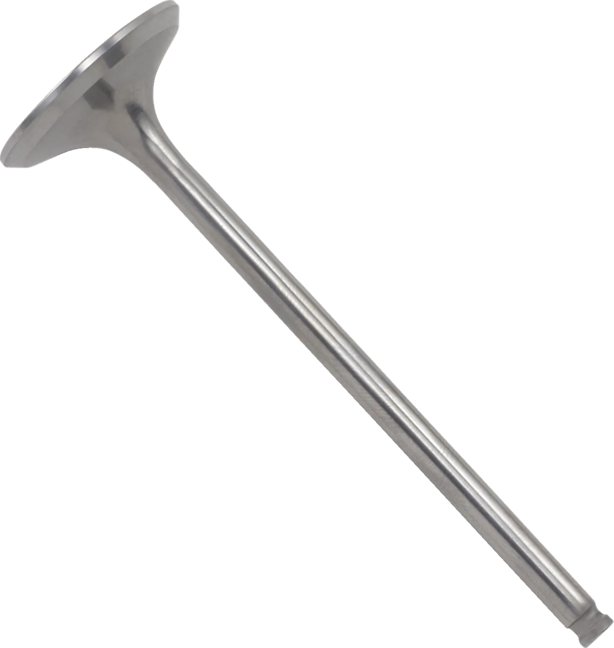 Titanium Engine Valve