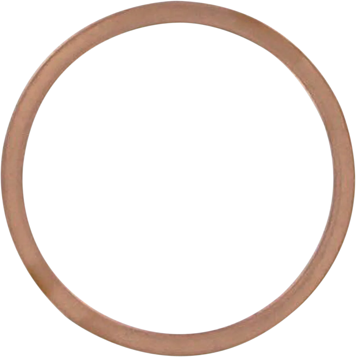 Exhaust Gasket