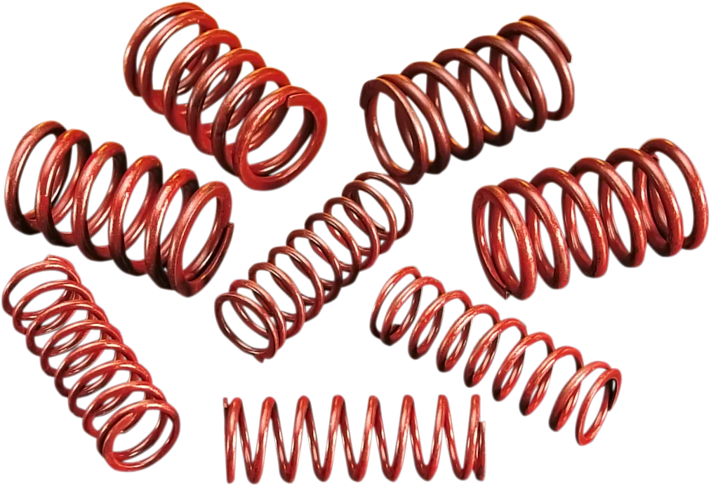 High-Lift Valve Spring Kit