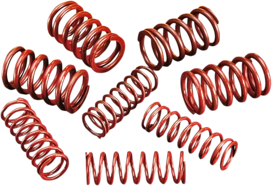 High-Lift Valve Spring Kit