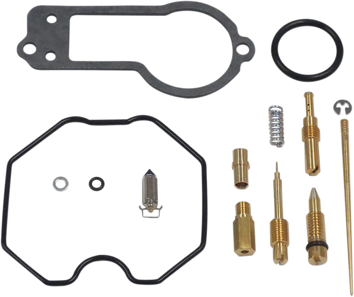 Carburetor Repair Kit