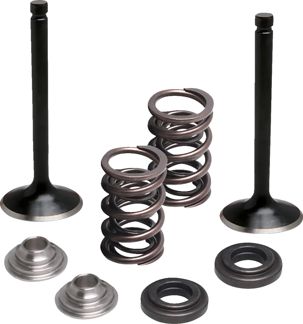 Valve and Spring Kit