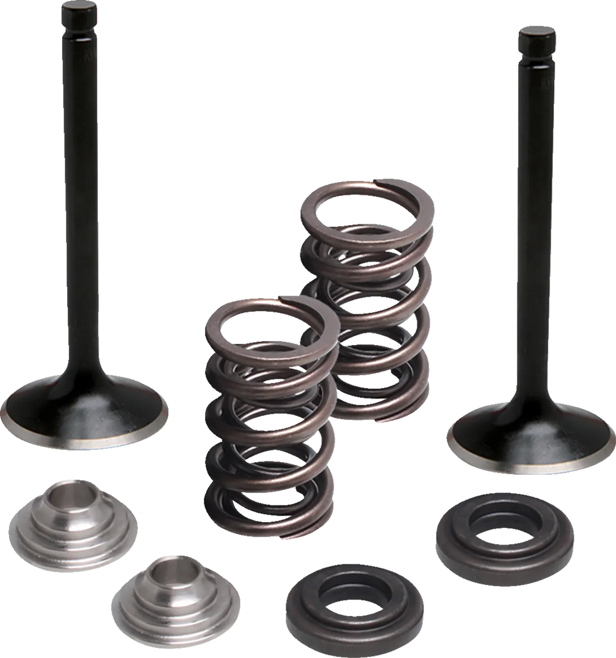 Valve and Spring Kit