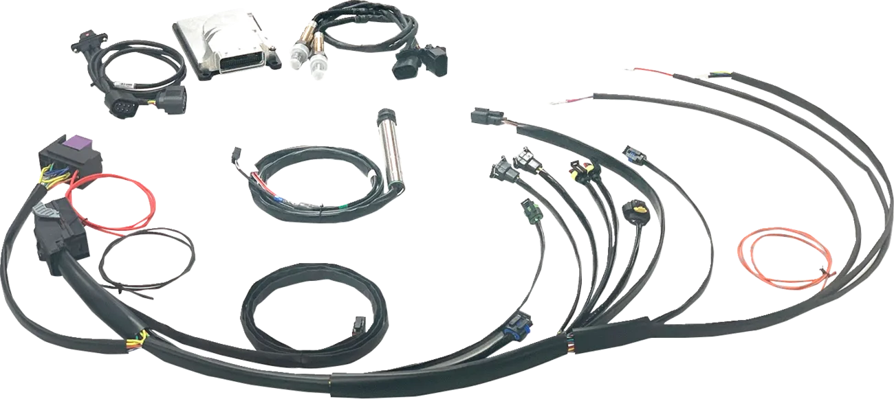 Complete Stand-Alone EFI Engine Management System