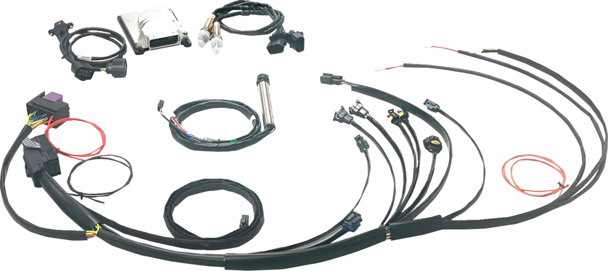 Complete Stand-Alone EFI Engine Management System