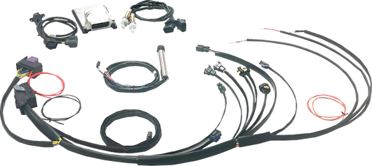 Complete Stand-Alone EFI Engine Management System