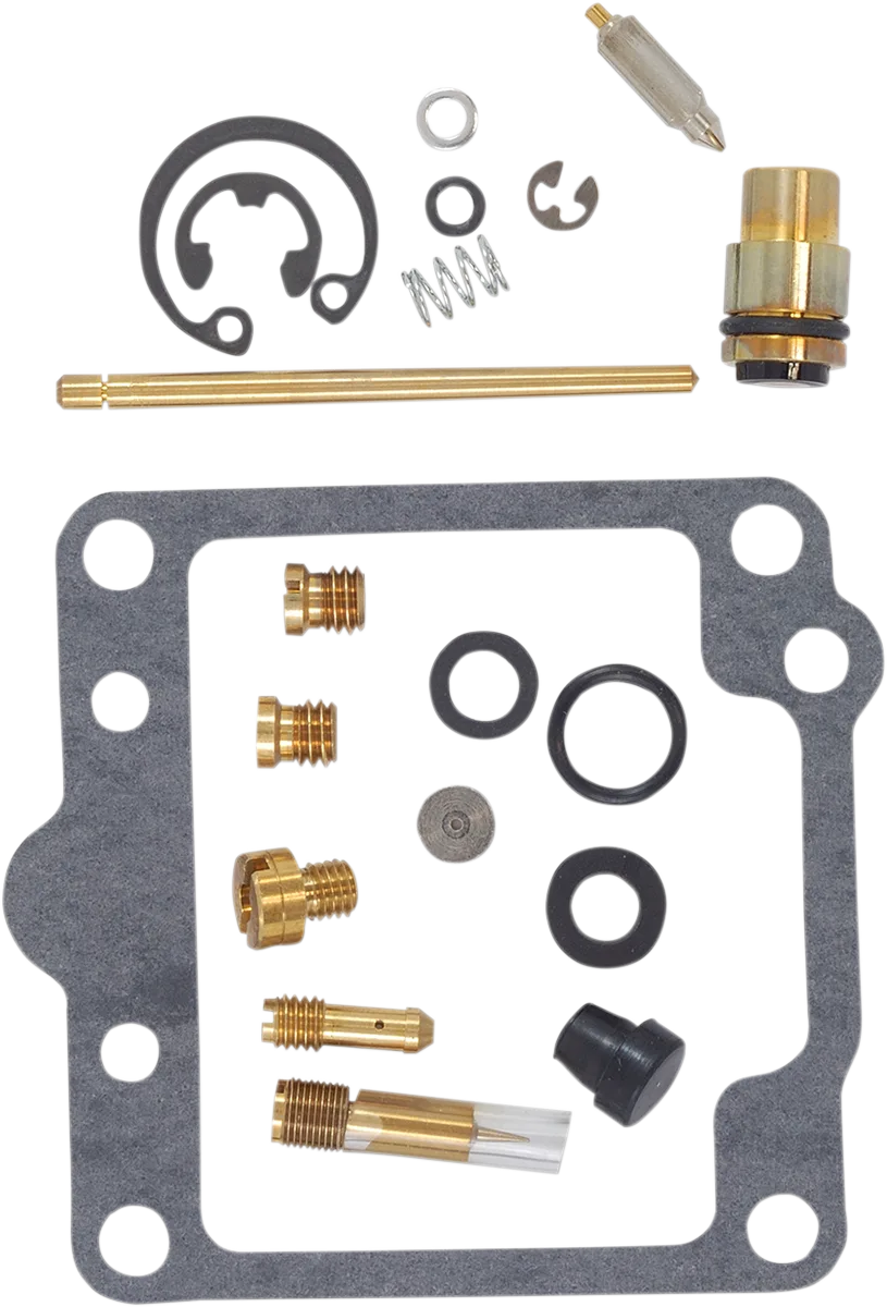 Carburetor Repair Kit