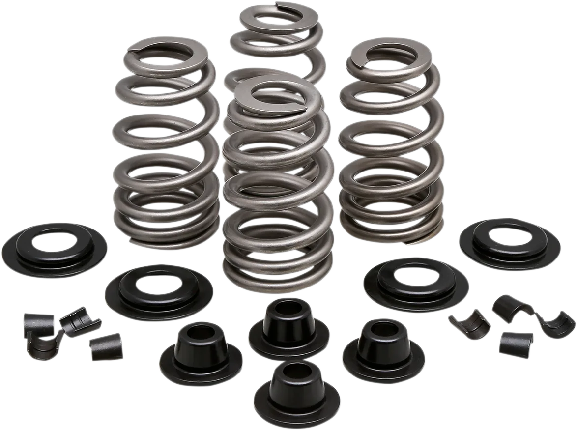 Beehive Valve™ Spring Kit
