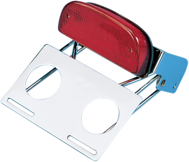 Custom Taillight and Chrome Bracket Assembly