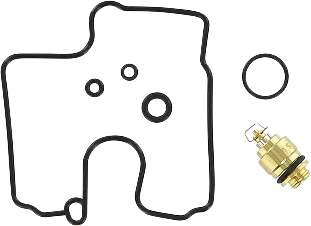 Carburetor Repair Kit