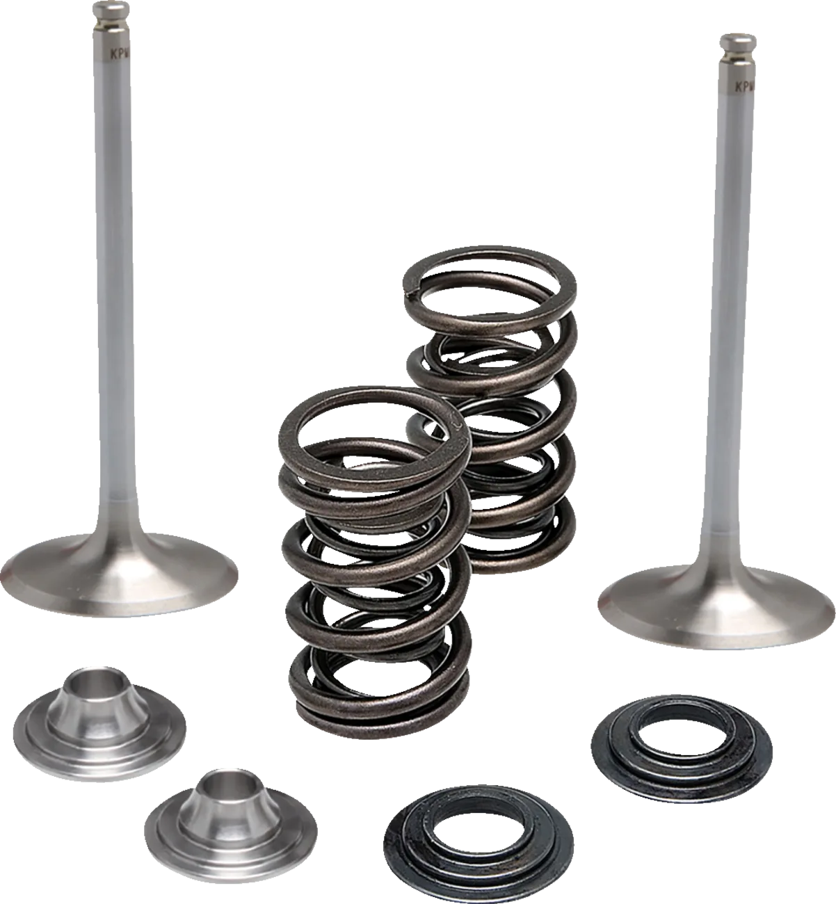 Valve and Spring Kit