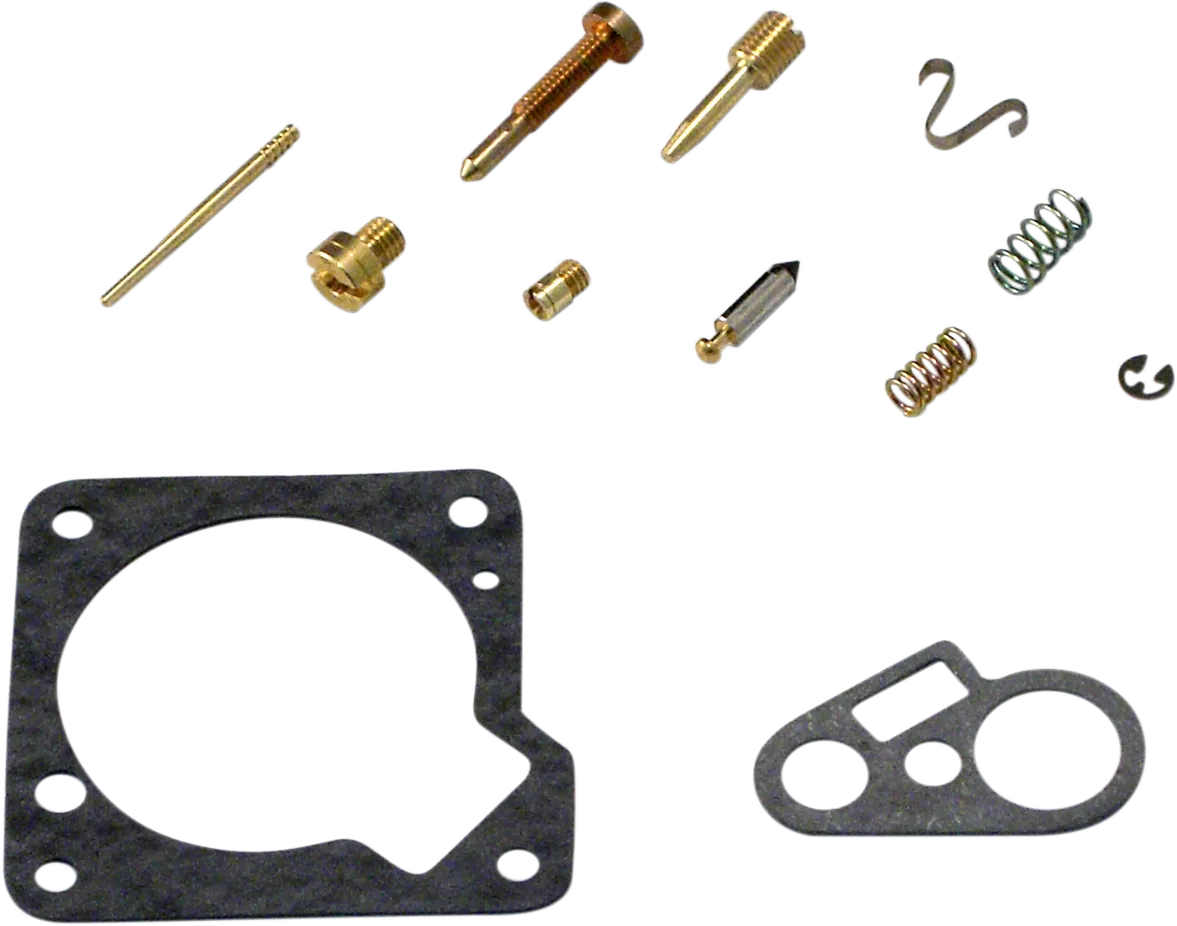 Carburetor Repair Kit