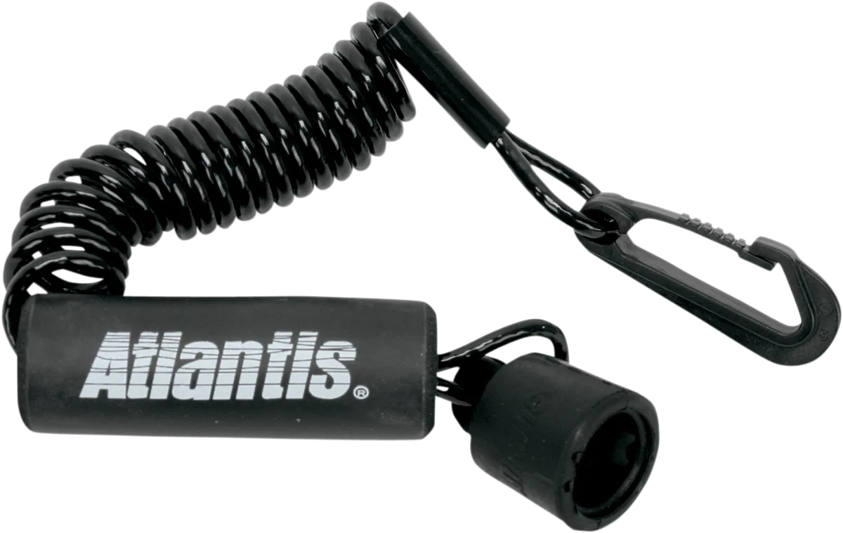 Lanyard