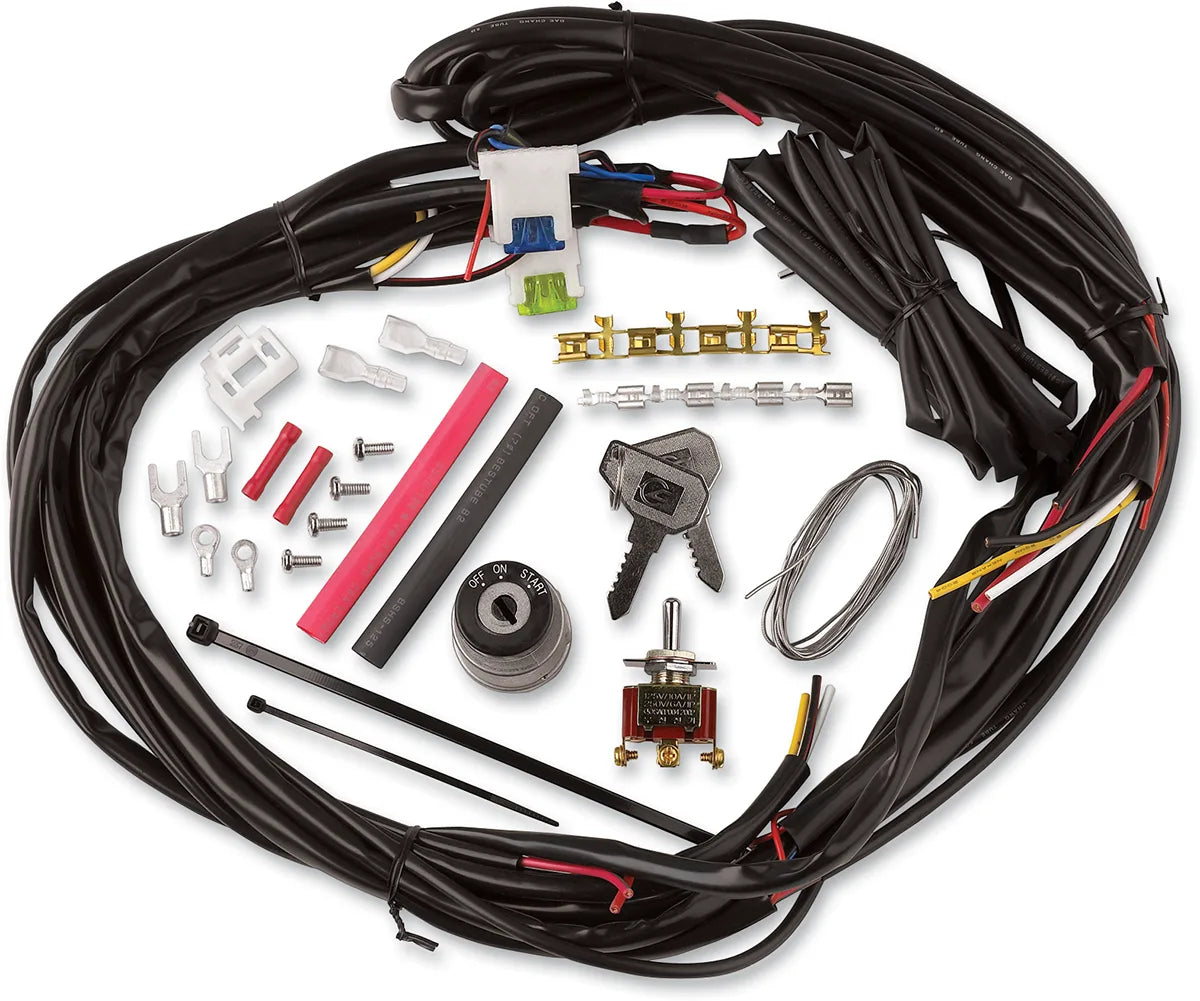 Custom Chopper Wire Harness