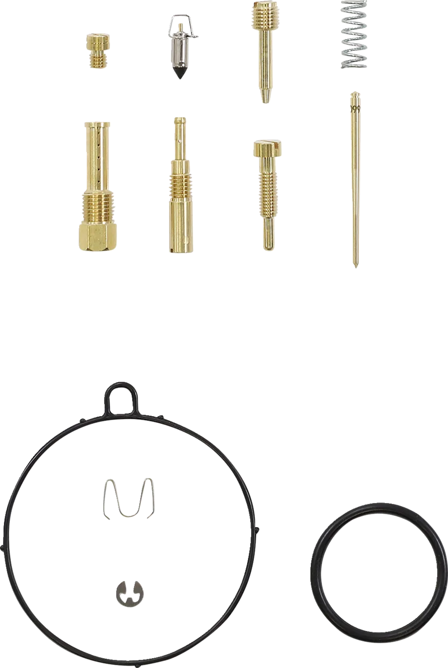 Carburetor Repair Kit