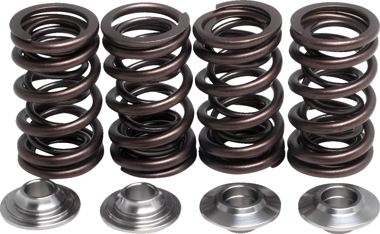 Lightweight Racing Valve Spring Kit