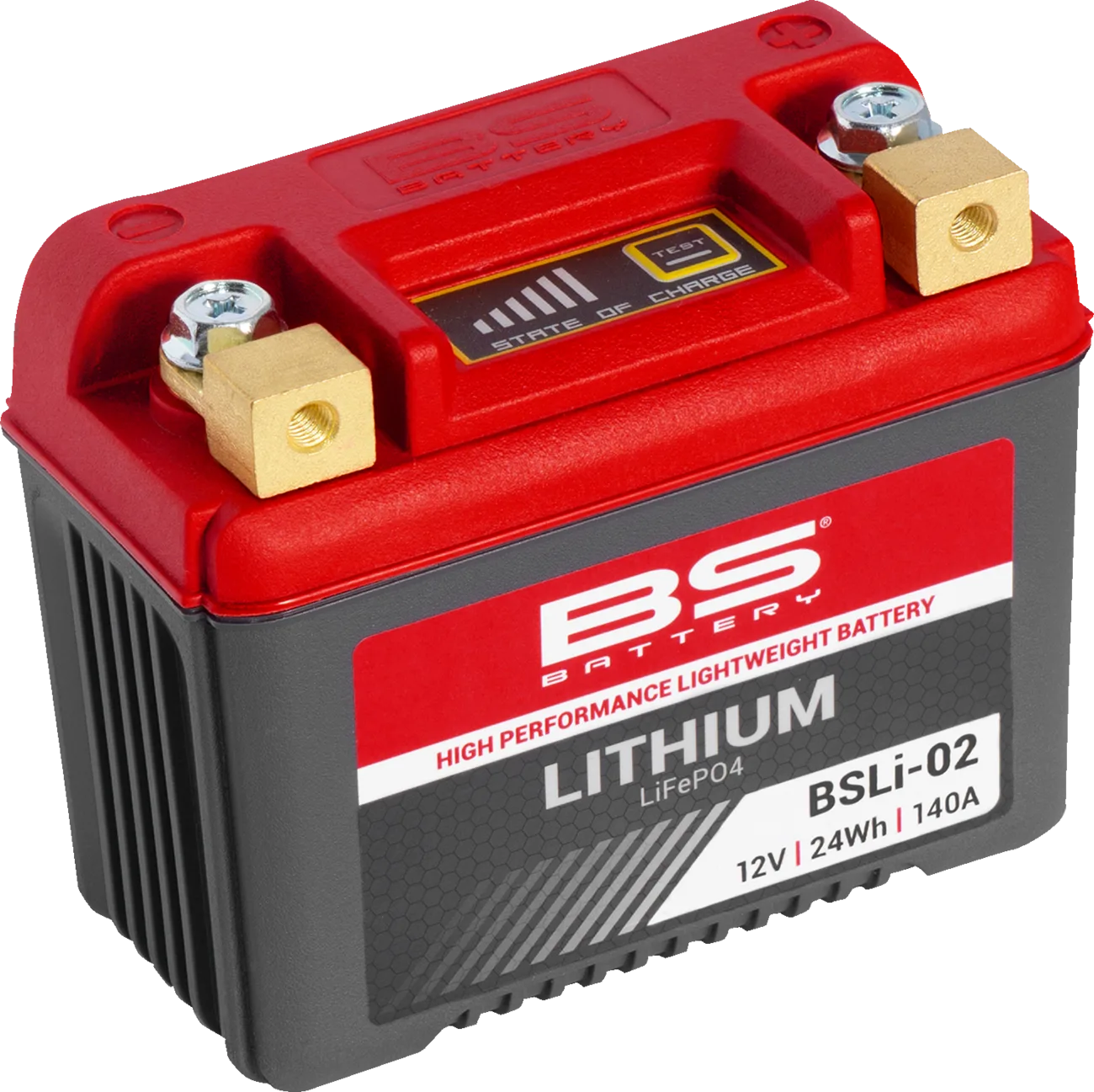 Lithium LiFePO4 Battery
