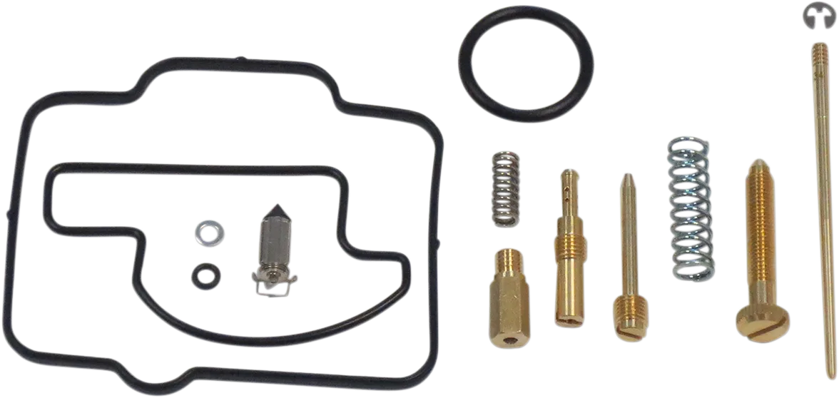 Carburetor Repair Kit