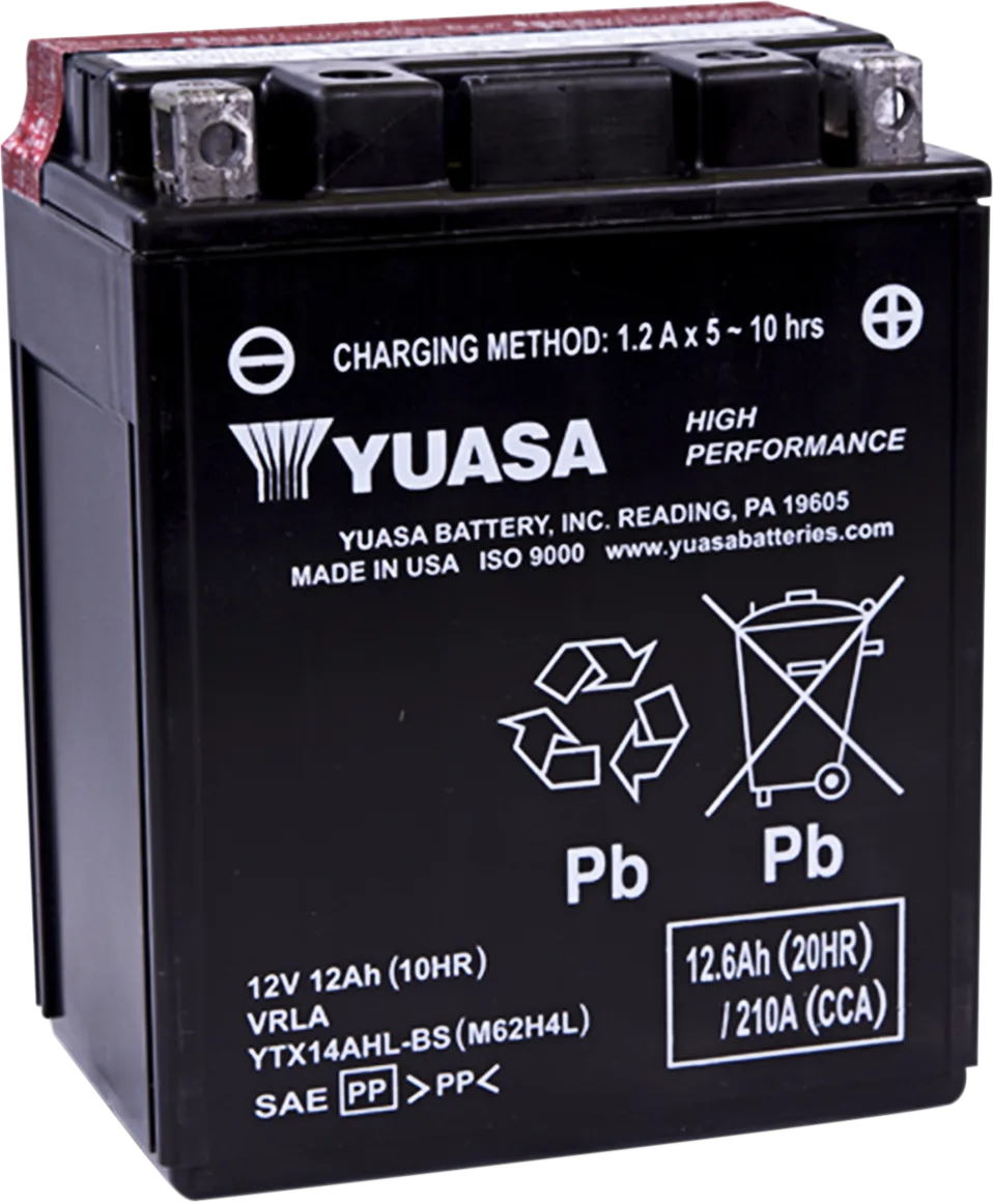 High Performance AGM Maintenance-Free Battery