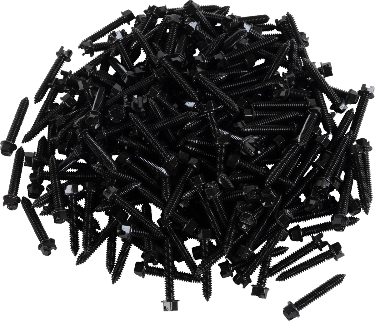 AMA Race Legal Traction Screws