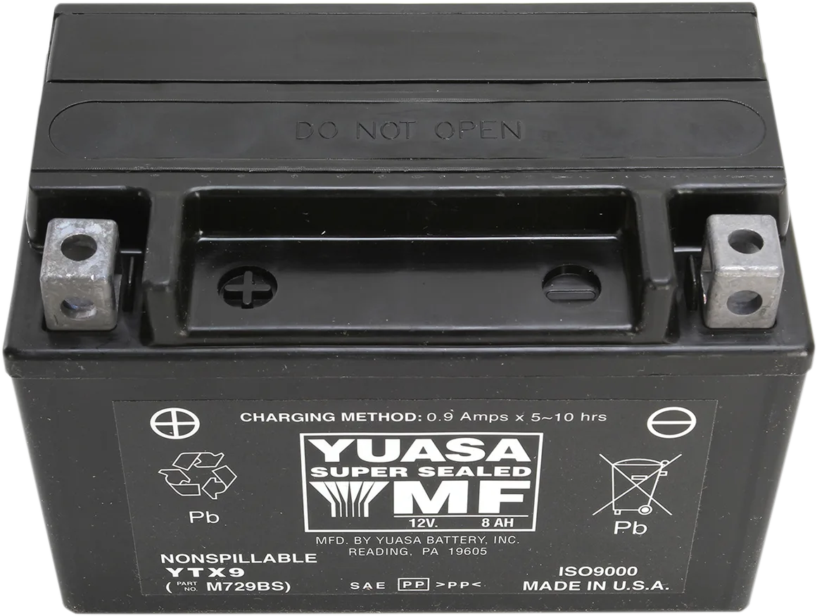 AGM Maintenance-Free Battery