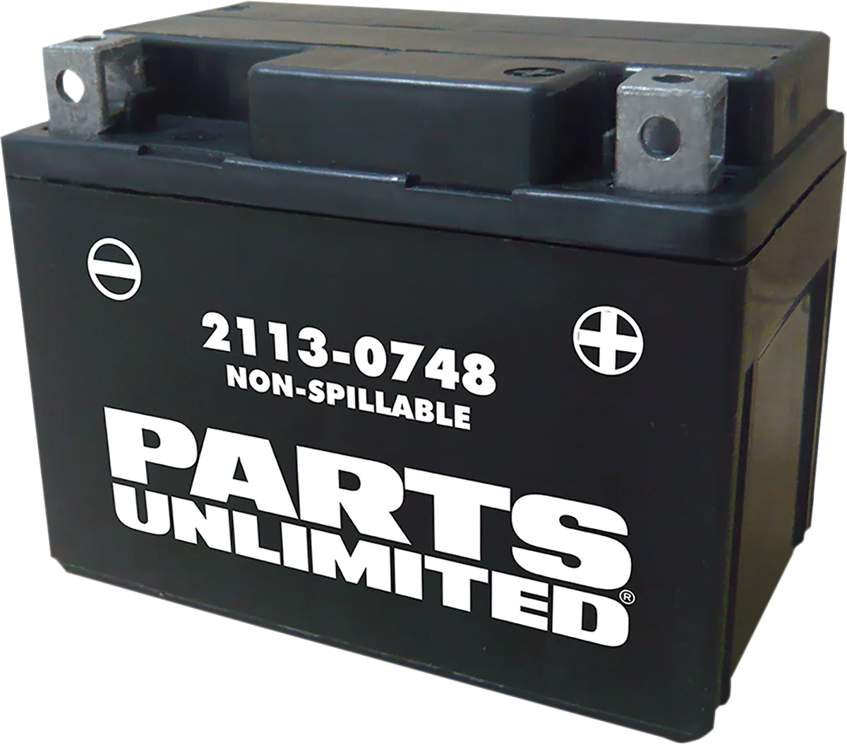 AGM Maintenance-Free Battery