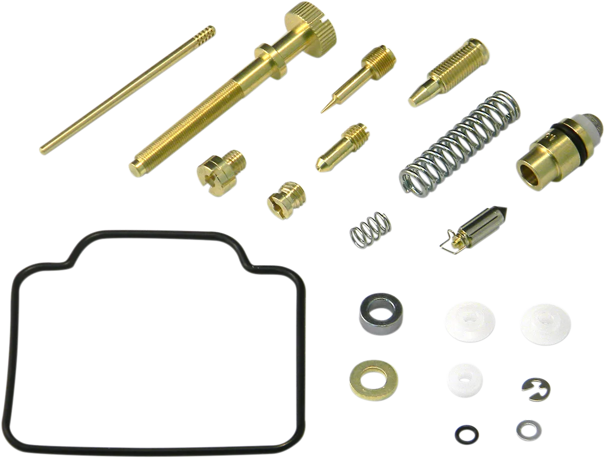 Carburetor Repair Kit
